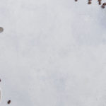 section-bg-8-1