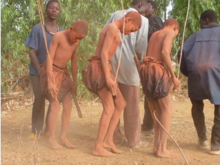 La circoncision, un rite de passage chez les Gourmantché