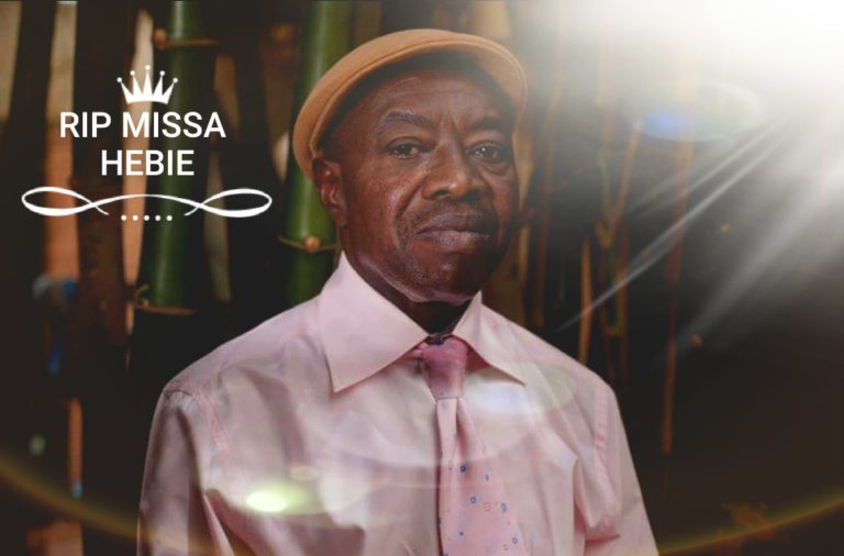 Missa Hébié : Le réalisateur acharné