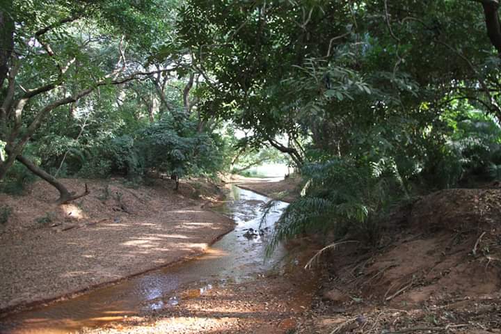 TOURISME: La Guinguette, un lieu à visiter absolument.