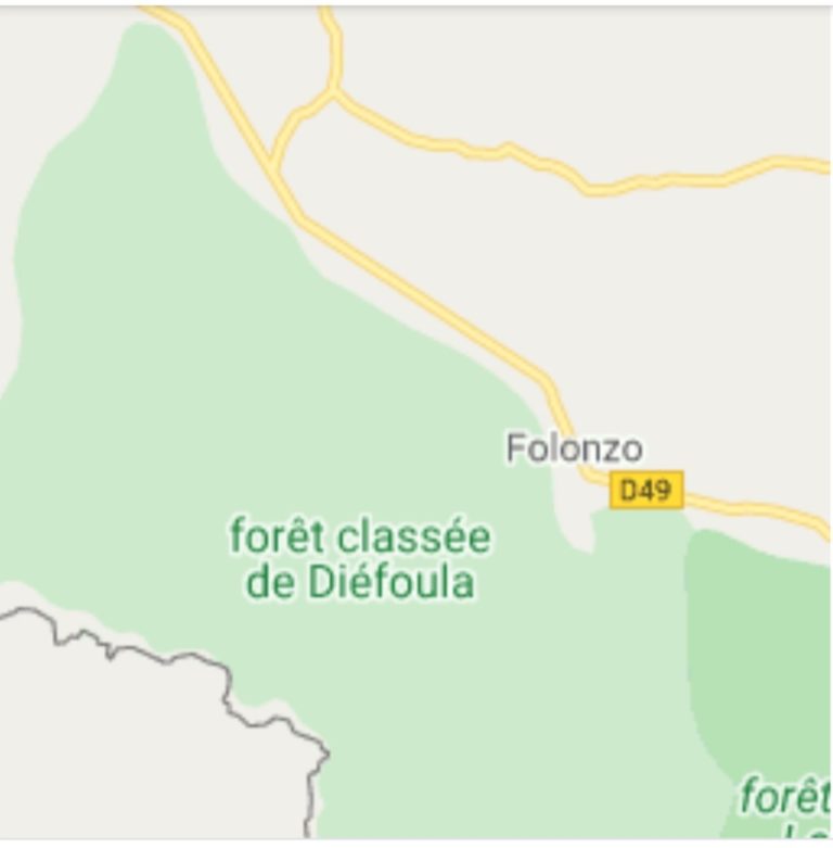 TOURISME: À la découverte de la réserve de Diefoula, dans la localité de Niangoloko