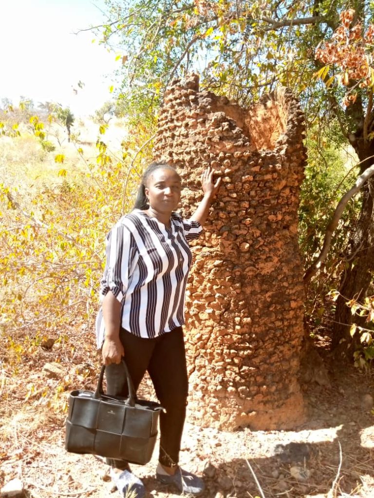 Bilan des activités 2020 : un taux d’exécution physique estimé à plus de 90% à la Direction régionale de la Culture, des Arts et du Tourisme du Centre-Nord