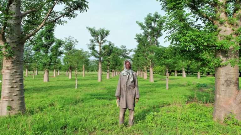 CINÉMA : présentation du documentaire ‘’L’homme qui plante des Baobabs’’ de Michel K. Zongo
