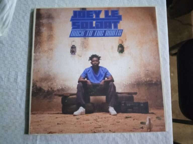 DISCOGRAPHIE: retour aux sources pour Joey Le Soldat avec « Back to the roots »