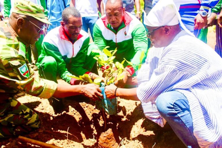 BOBO-DIOULASSO 2000 plants mis en terre dans la forêt classée de Kua