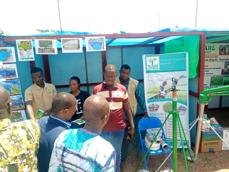 CULTURE: Les 72 heures de la Diaspora lancés