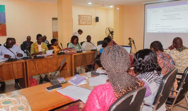 Promotion culturelle: Des acteurs élaborent des textes pour la protection, la sauvegarde et la valorisation du patrimoine culturel