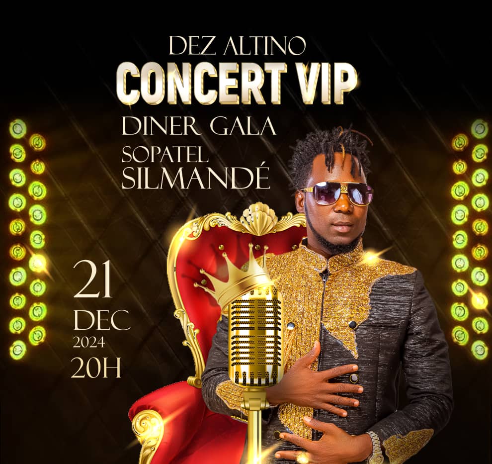 concert vip