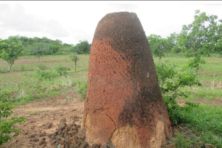 À la découverte des fourneaux de Kindibo : trésors métallurgiques millénaires du Burkina Faso