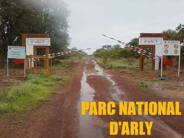 Parc National d’Arly : une réserve naturelle burkinabè à la renommée mondiale