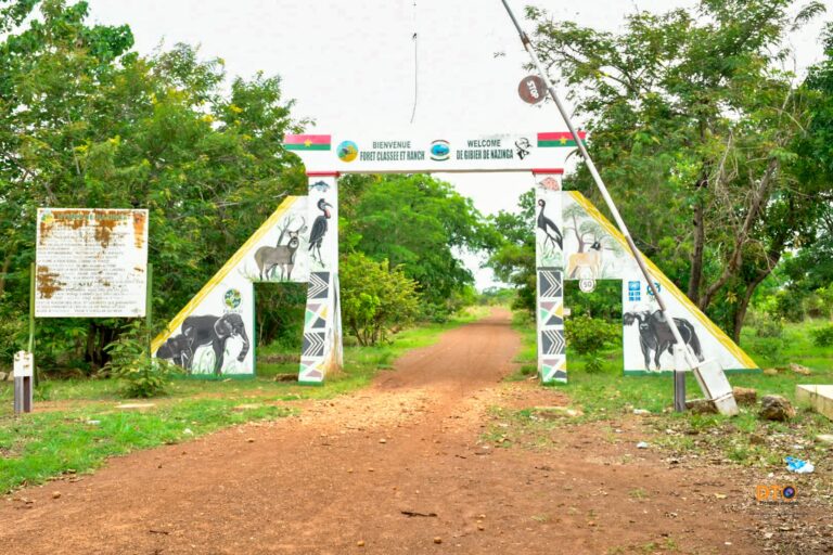 Ranch de Nazinga : un patrimoine naturel en péril, un appel à la mobilisation