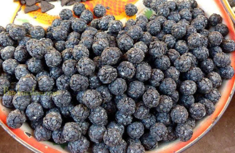 Kogl-do : le soumbala, trésor culinaire et culturel des peuples moaga